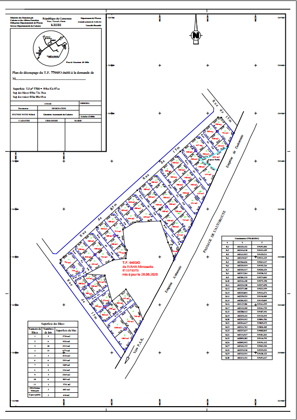Aperçu du plan PDF - Lotissement Kribi Bwambè