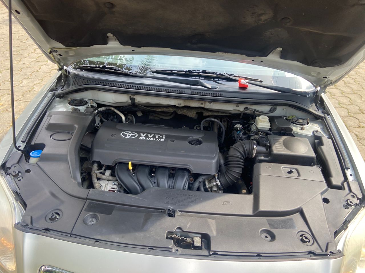 Tête de cochon moteur